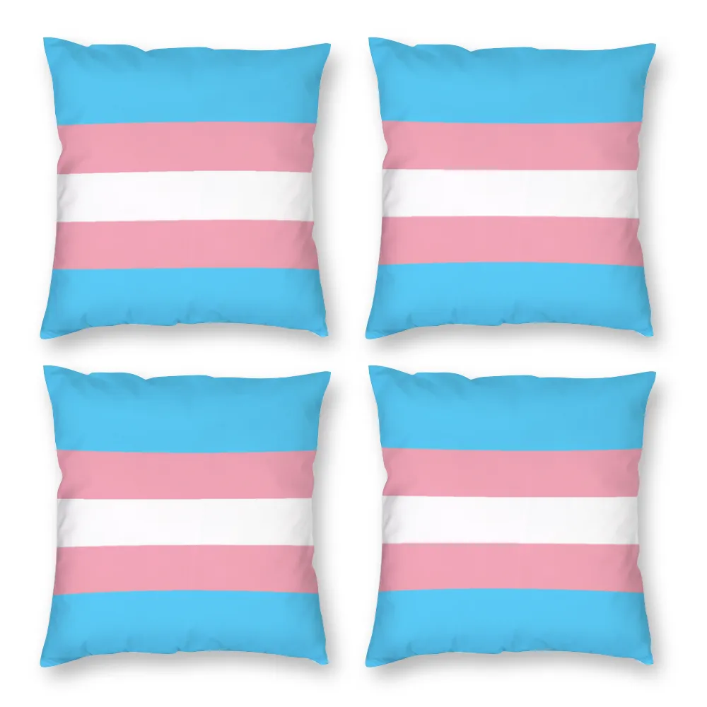 Customizable 4 Pieces Plush Pillowcase Pillow Covers 18 x 18 Set