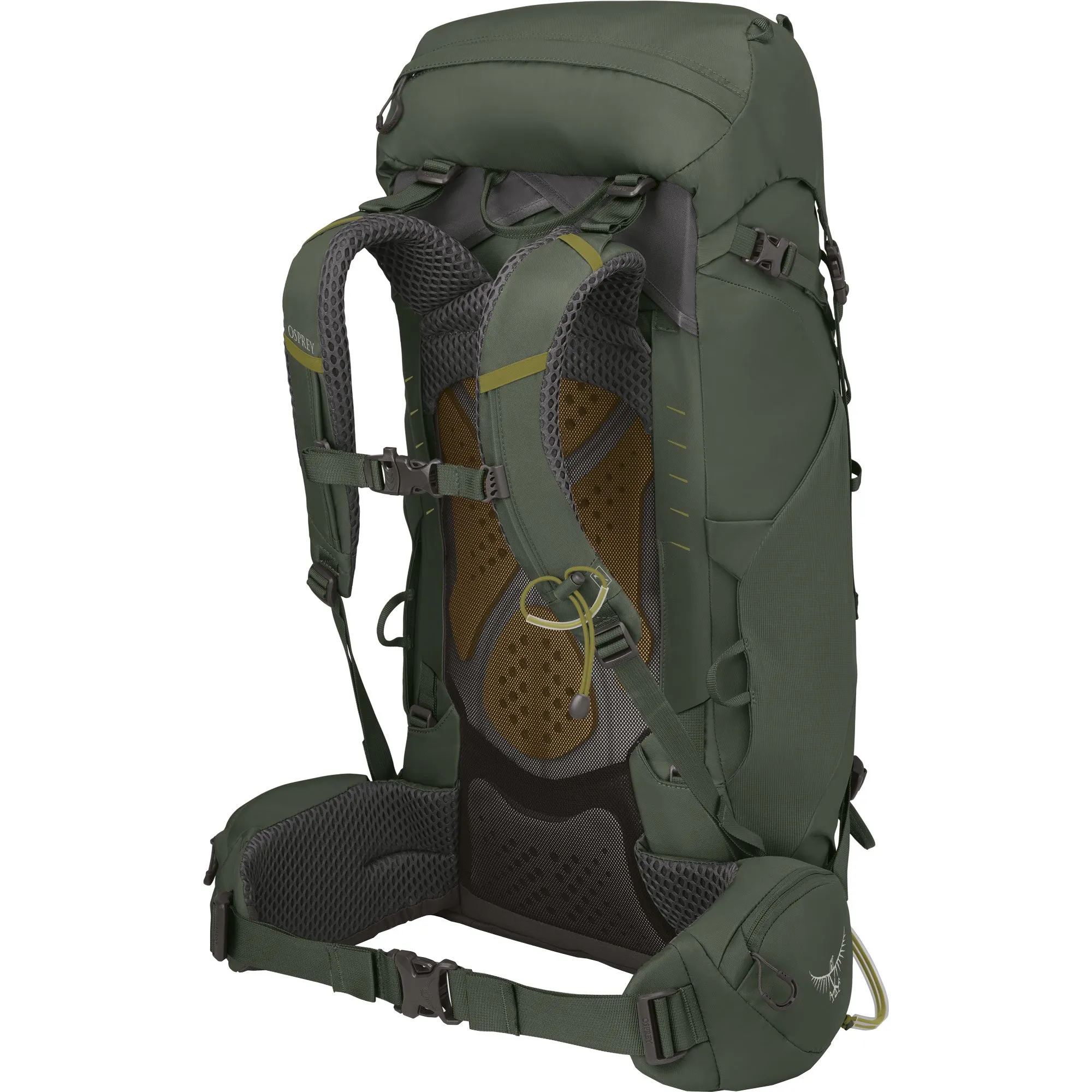 Osprey - Kestrel\u2122 38l Trekking Backpack bonsai green