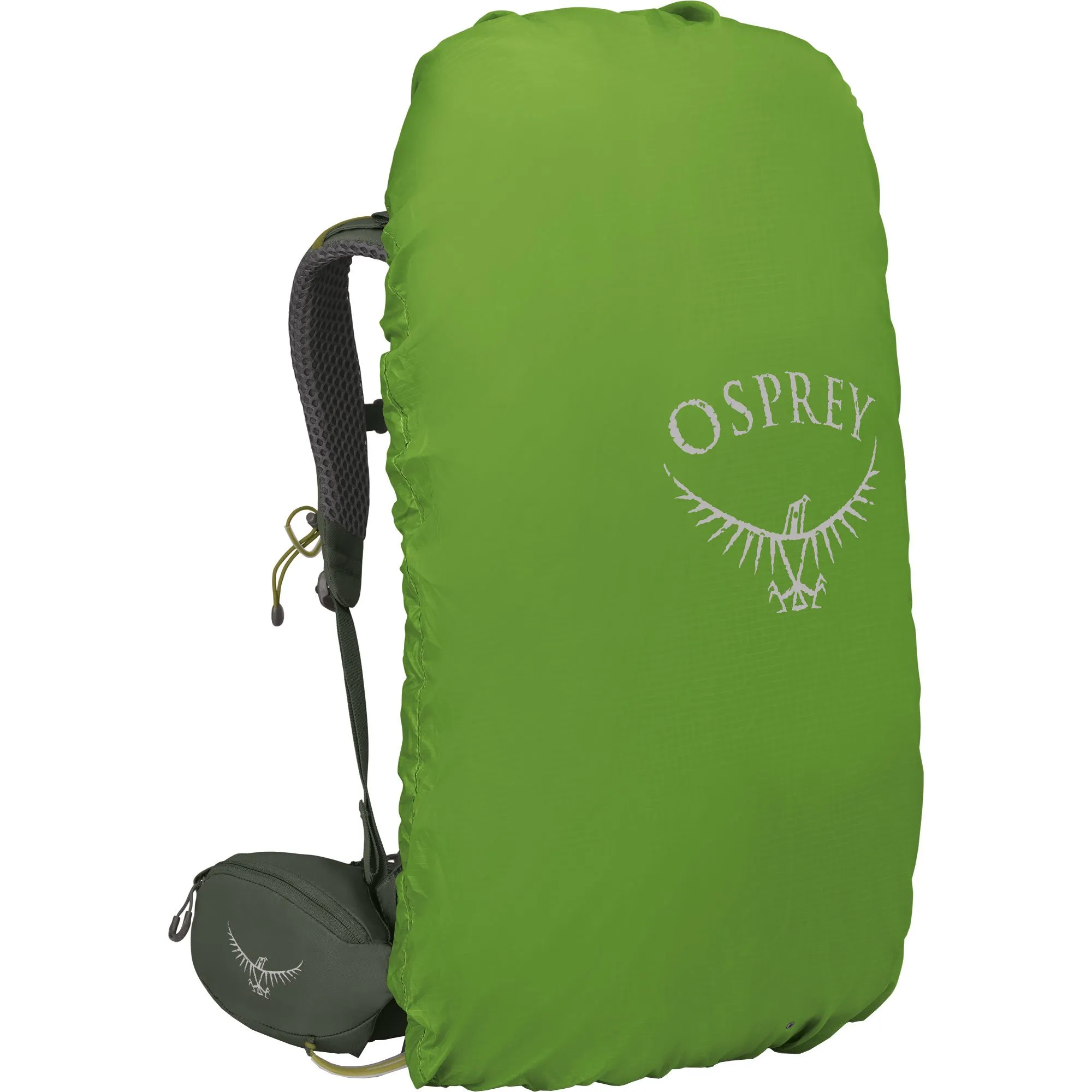 Osprey - Kestrel\u2122 38l Trekking Backpack bonsai green