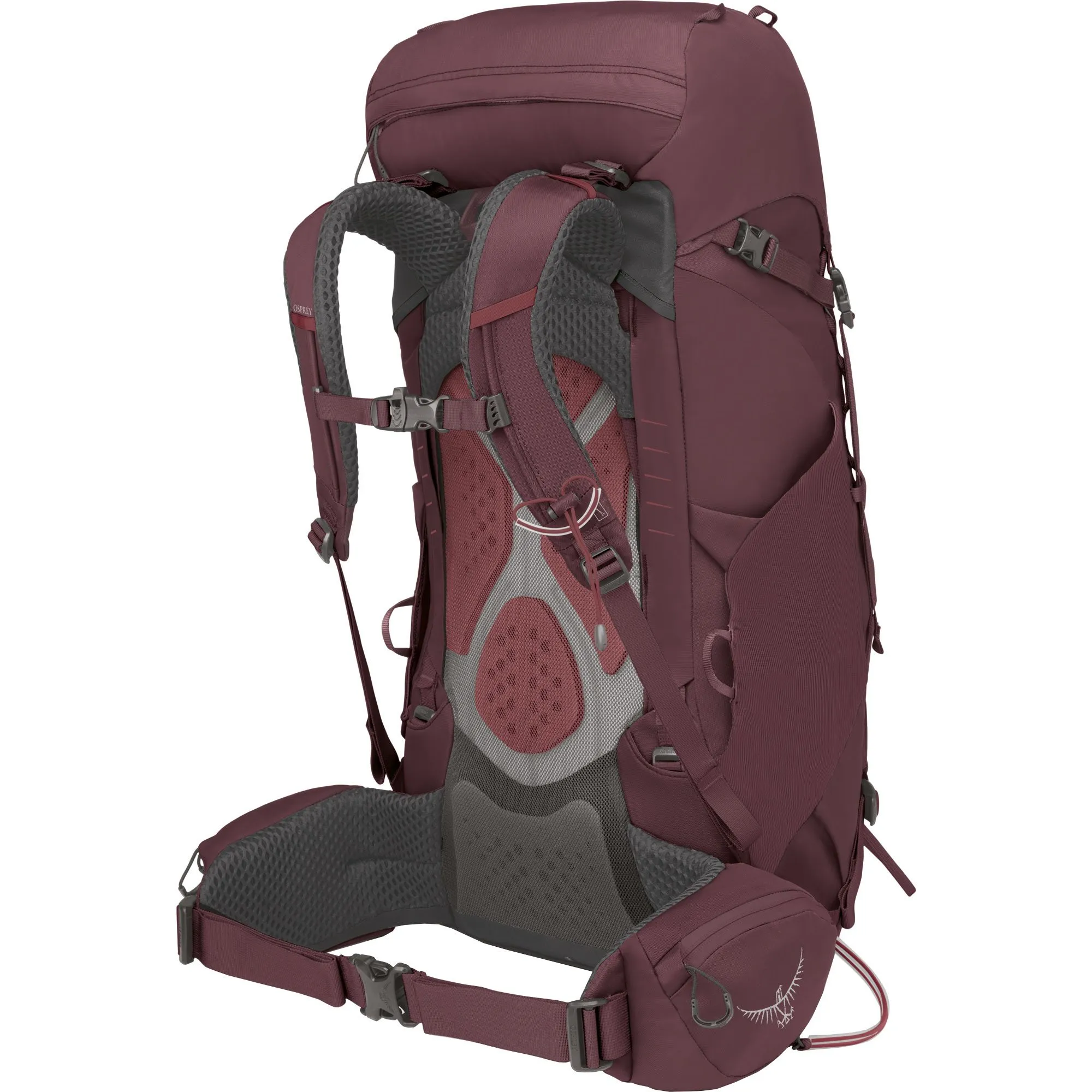 Osprey - Kyte\u2122 38l Trekking Backpack Women elderberry purple