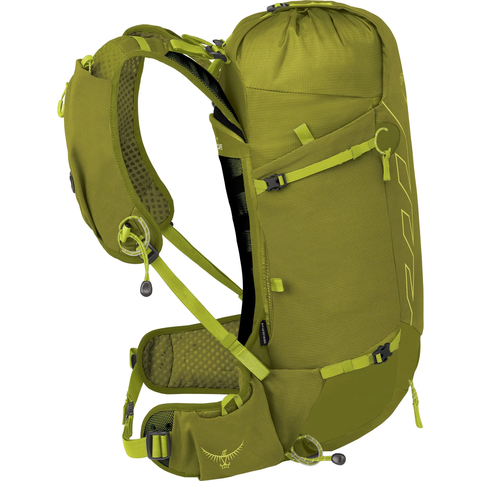 Osprey - Talon\u2122 Velocity 20l Backpack matcha green