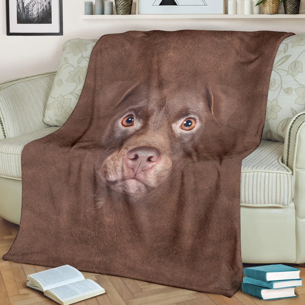 Premium Blanket Patterdale Terrier Face Hair