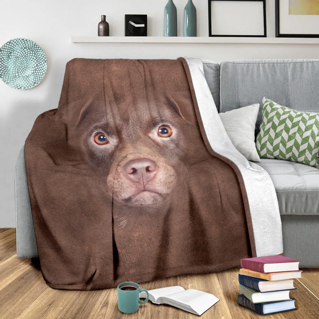 Premium Blanket Patterdale Terrier Face Hair