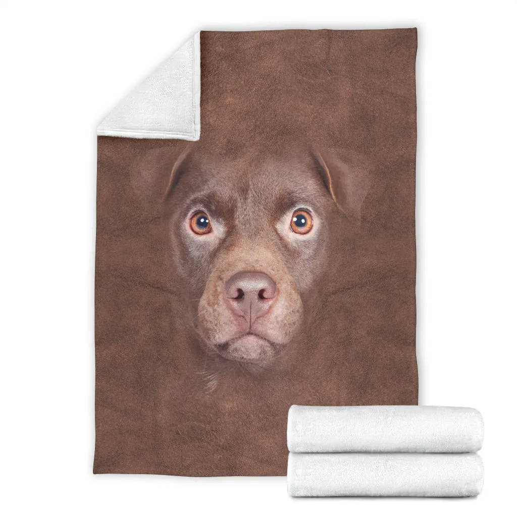 Premium Blanket Patterdale Terrier Face Hair