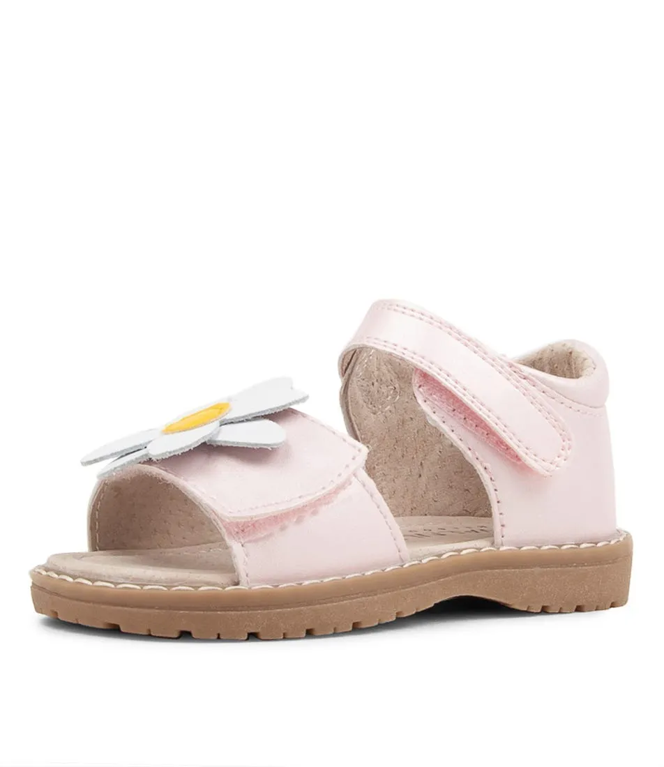 WALNUT Bell Sandal Tot Pink Sandals